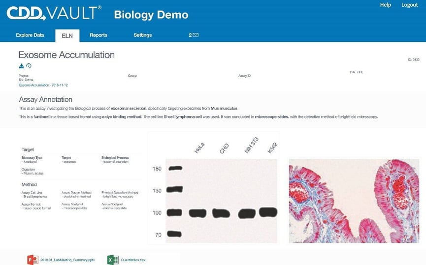 Electronic lab notebook software